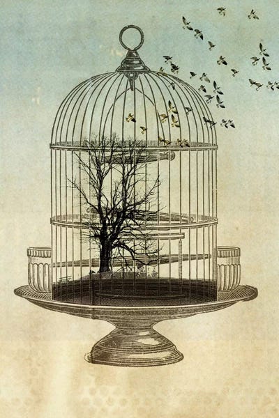 Steampunk: Free Birds by Vin Zzep