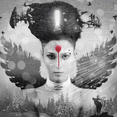 Girl Face by Vin Zzep art print