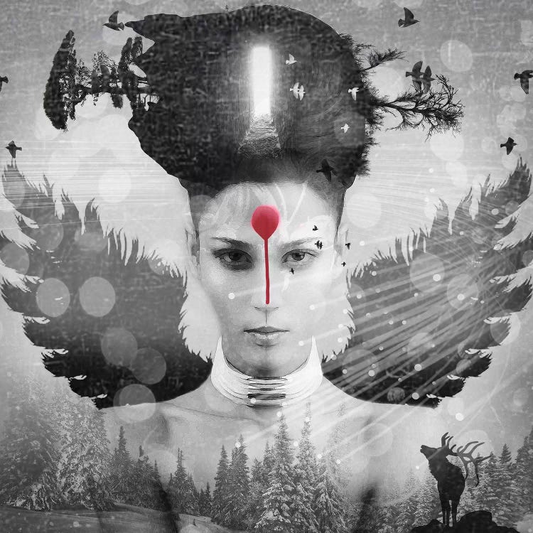 Girl Face by Vin Zzep wall art