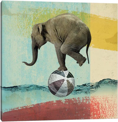 Balance Elephant Canvas Art Print - Vin Zzep