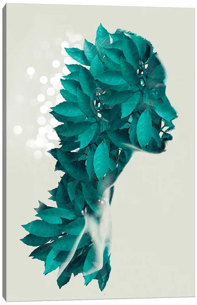 Masked Foliage Canvas Art Print - Figurative Photography