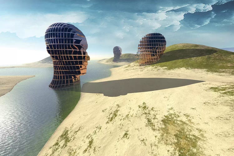 Mesh Head by Vin Zzep wall art
