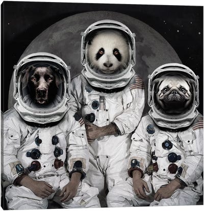 Astro Animals Canvas Art Print - Vin Zzep