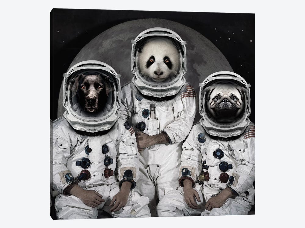 Astro Animals by Vin Zzep 1-piece Canvas Art
