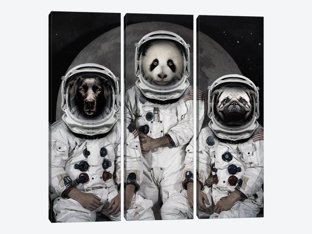 Astro Animals by Vin Zzep 3-piece Canvas Wall Art