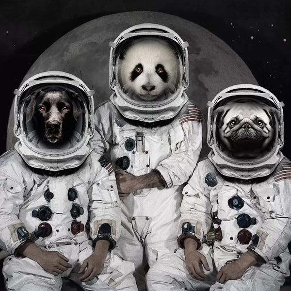 Kids Astronomy & Space Art: Astro Animals by Vin Zzep