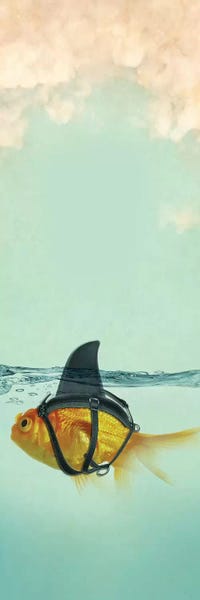 Goldfish: Brilliant Disguise by Vin Zzep