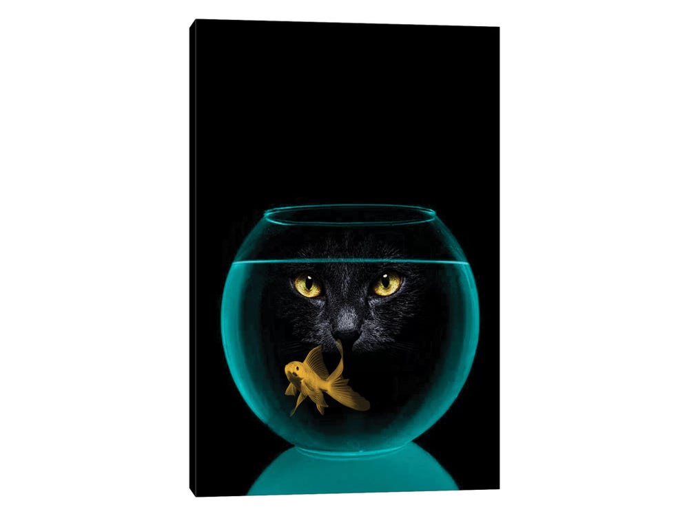 Framed Canvas Art - Black Cat Goldfish by Vin Zzep ( Animals > Cats > Black Cats art) - 26x18 in