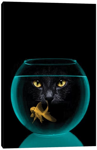 Black Cat Goldfish Canvas Art Print - Sea Life Art