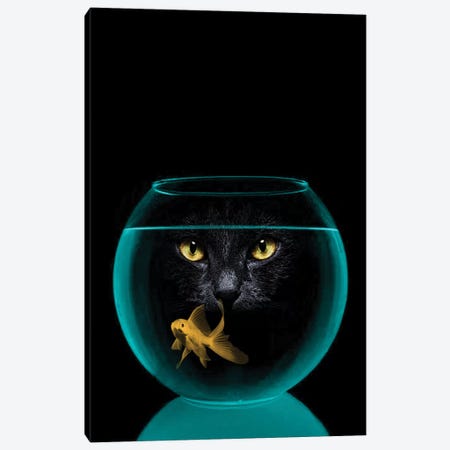 Black Cat Goldfish Canvas Print #ZEP5} by Vin Zzep Art Print