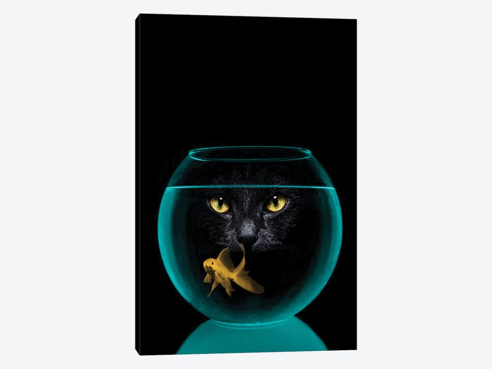 Black Cat Goldfish by Vin Zzep 1-piece Canvas Print