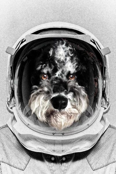 Buster Astro Dog by Vin Zzep metal wall art
