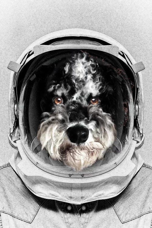 Buster Astro Dog by Vin Zzep wall art