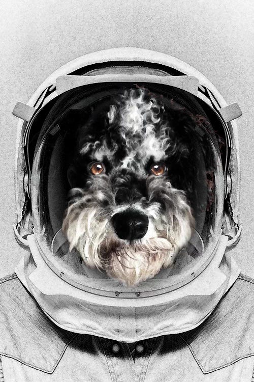 Buster Astro Dog