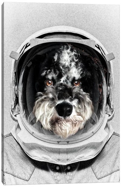 Buster Astro Dog Canvas Art Print - Schnauzer Art