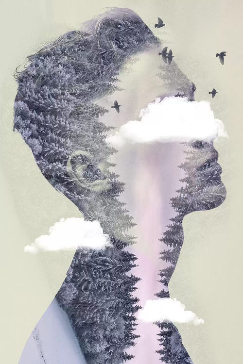 Double Exposure Hair III