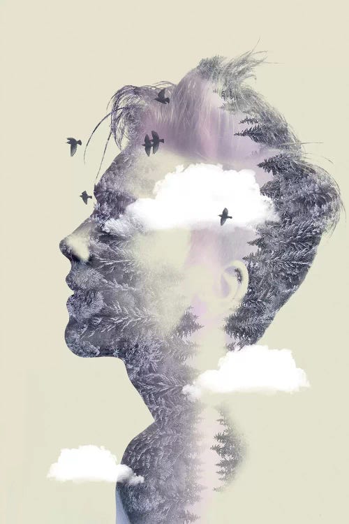 Double Exposure Hair IV