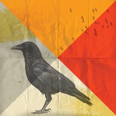 Crow Diamond I by Vin Zzep framed wall art