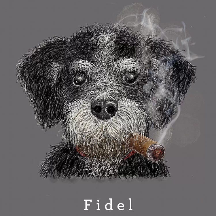 Fidel Cuban Native