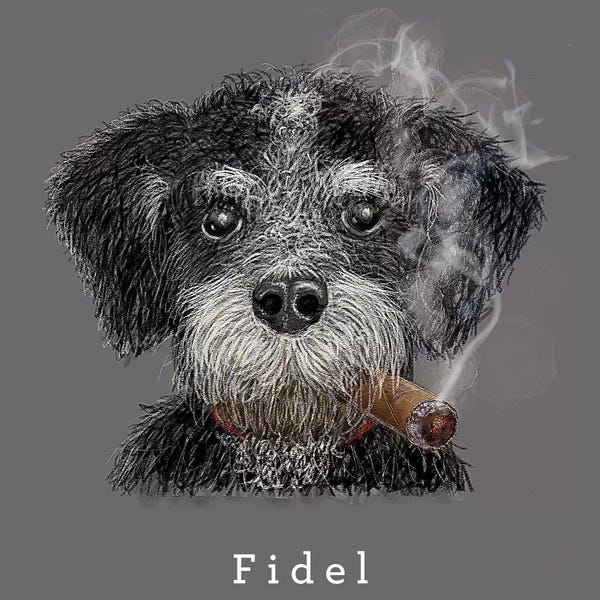 Mutts: Fidel Cuban Native by Vin Zzep
