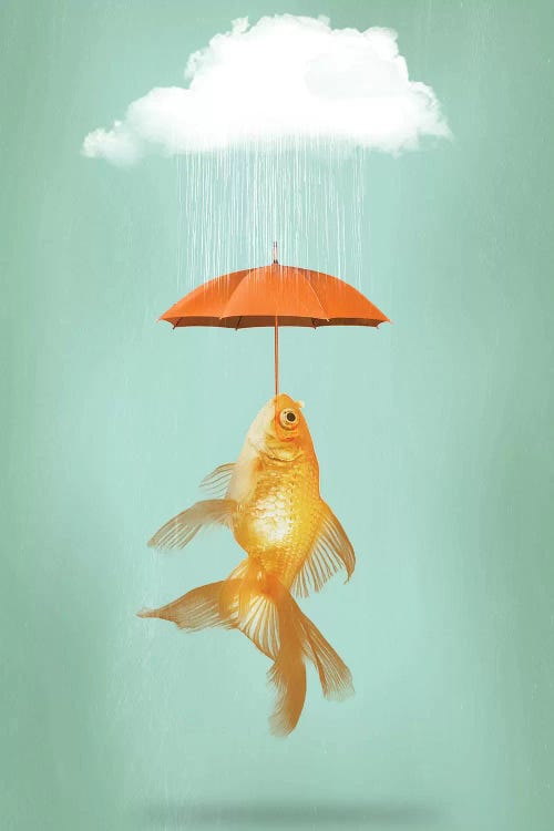 Fish Cover by Vin Zzep wall art