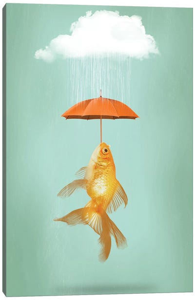 Fish Cover Canvas Art Print - Vin Zzep