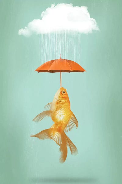 Kids Ocean Life Art: Fish Cover by Vin Zzep