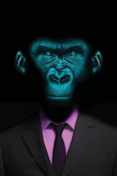 Primates: Fluoro Shirt by Vin Zzep