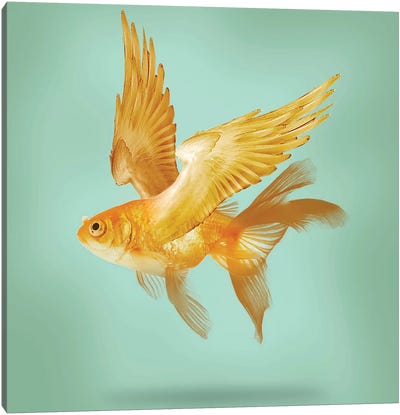 Flying Fish Canvas Art Print - Vin Zzep