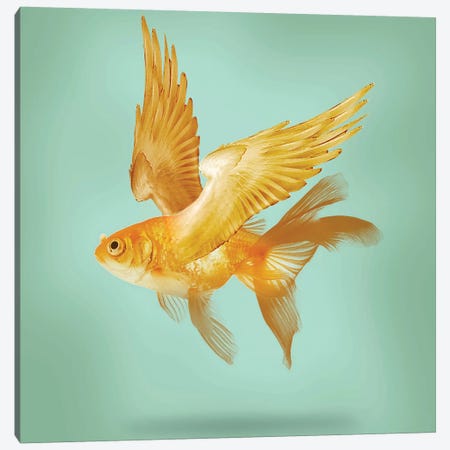 Flying Fish Canvas Print #ZEP76} by Vin Zzep Canvas Art