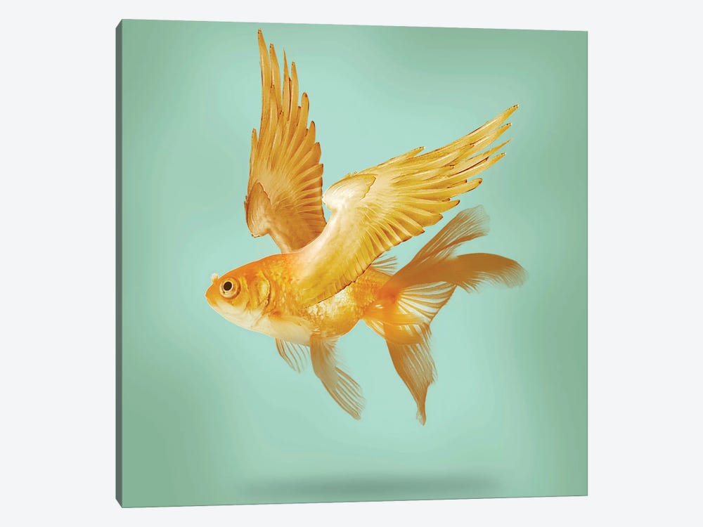 Flying Fish by Vin Zzep 1-piece Canvas Wall Art