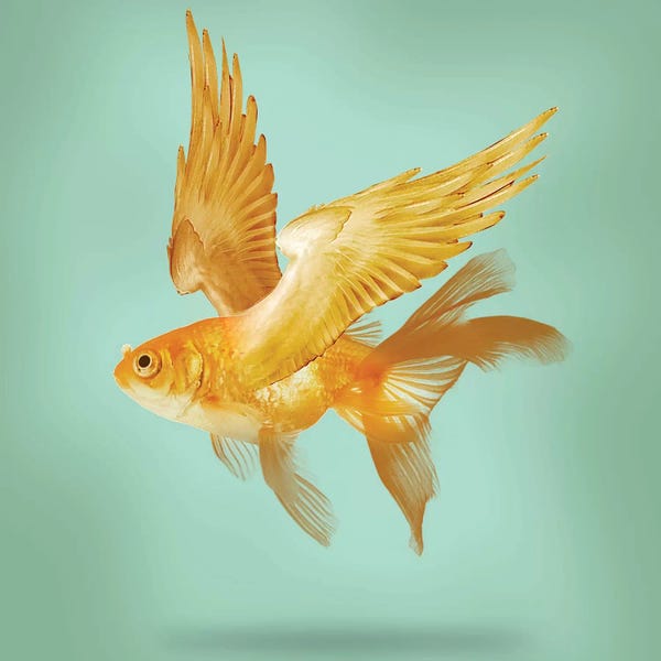 Kids Ocean Life Art: Flying Fish by Vin Zzep