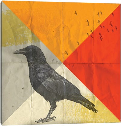 Crow Diamond I Canvas Art Print - Crow Art