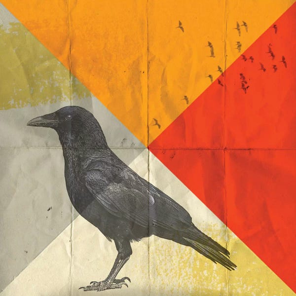 Crows: Crow Diamond I by Vin Zzep