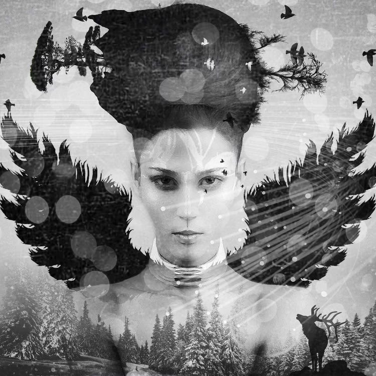 Girl Face II by Vin Zzep wall art