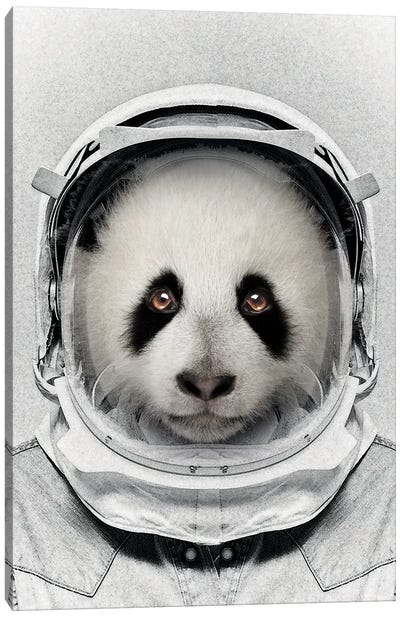 Panda Astro Bear Canvas Art Print - Vin Zzep