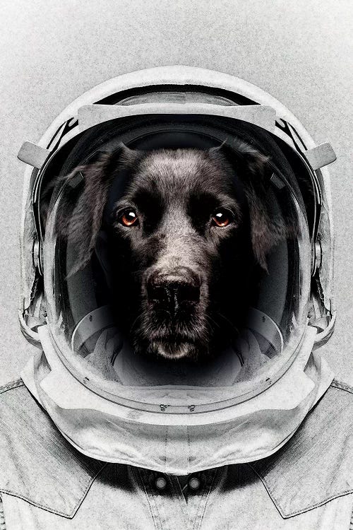 Pluto Astro Dog