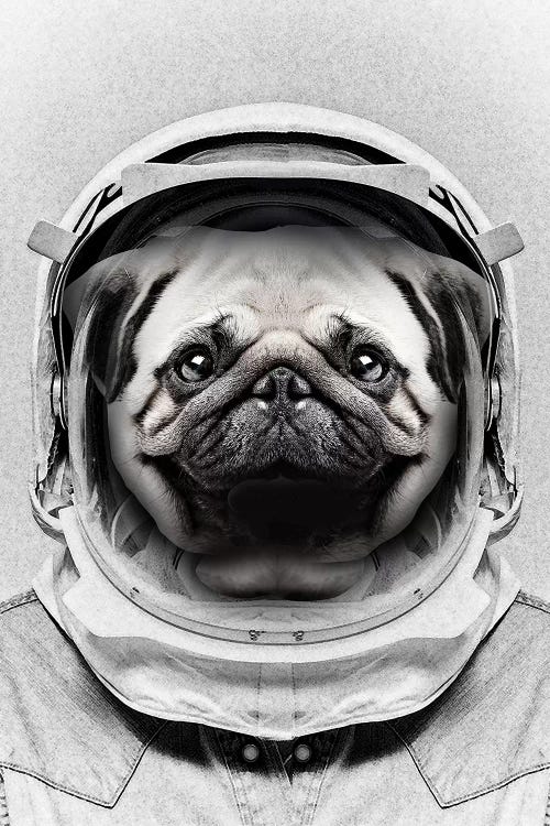 Puggly Pawstrong Astro Dog