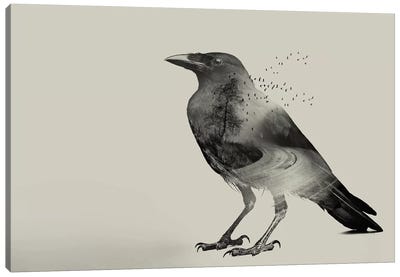Raven Sky Canvas Art Print - Crow Art