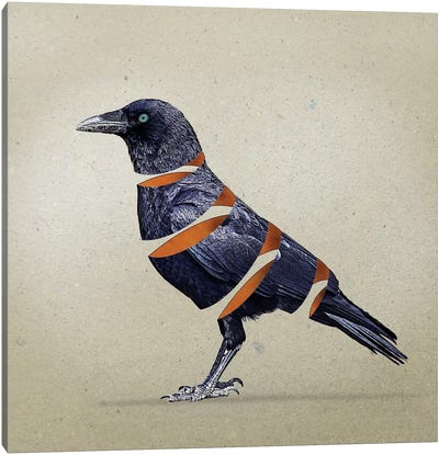 Raven Slice Canvas Art Print - Crow Art