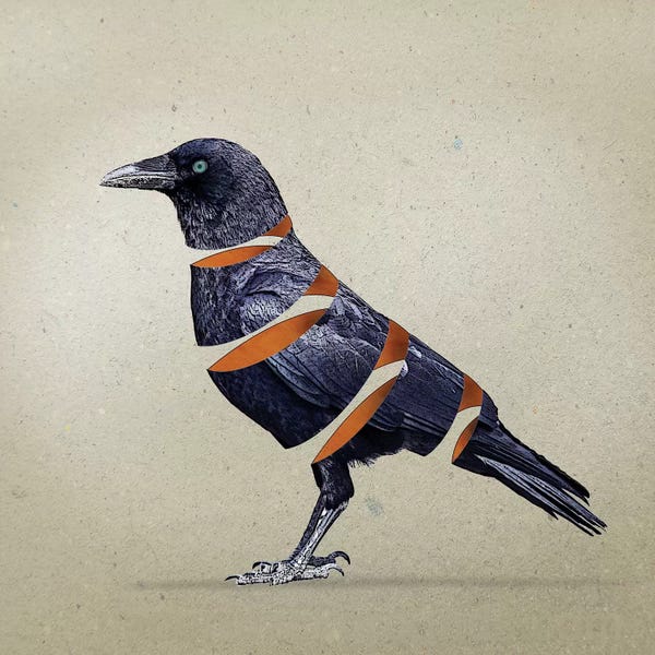 Crows: Raven Slice by Vin Zzep