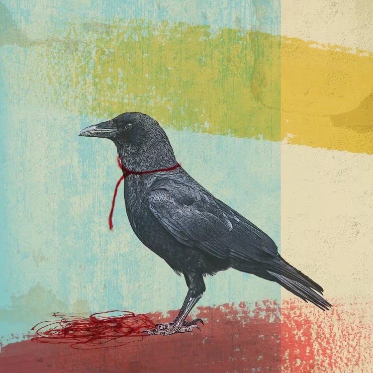 Crow Freedom by Vin Zzep wall art