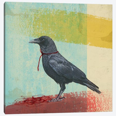 Crow Freedom Canvas Print #ZEP9} by Vin Zzep Canvas Art