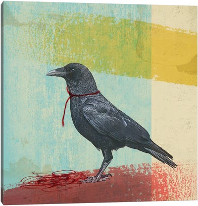 Crow Freedom Canvas Art Print - Raven Art