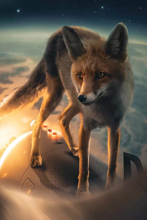 The Fox In Space