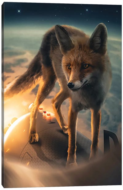 The Fox In Space Canvas Art Print - Zenja Gammer