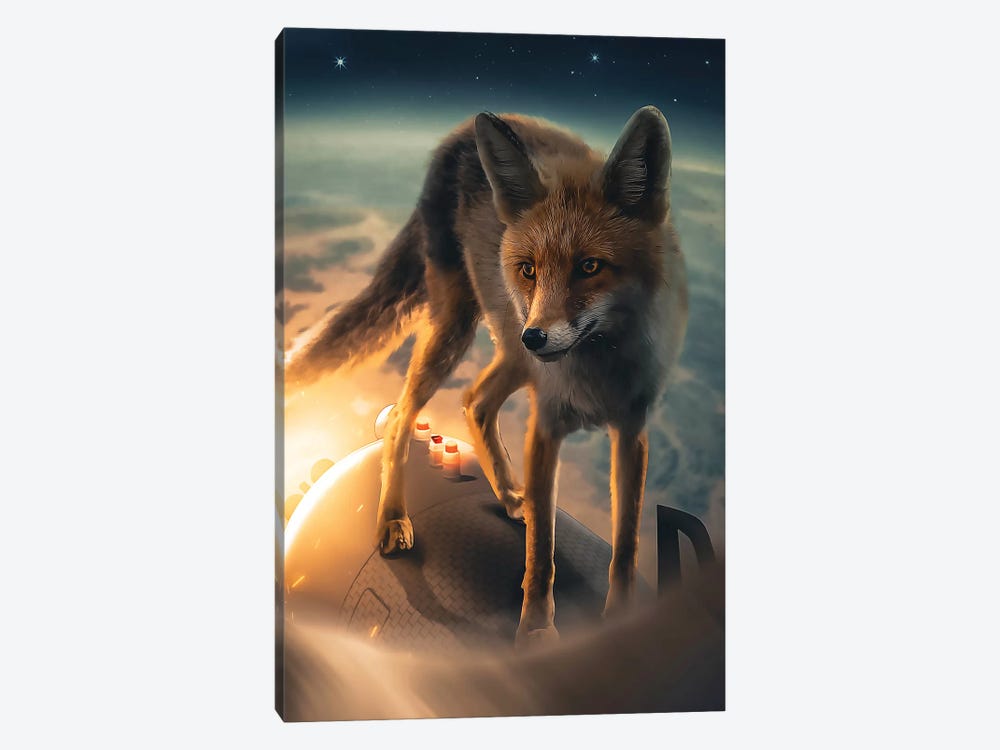 The Fox In Space by Zenja Gammer 1-piece Canvas Art