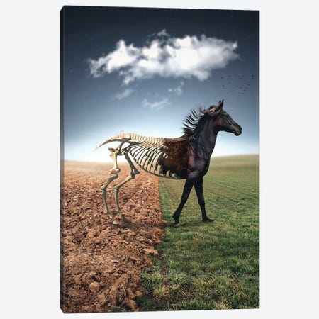 The Skeleton Horse Canvas Print #ZGA104} by Zenja Gammer Art Print