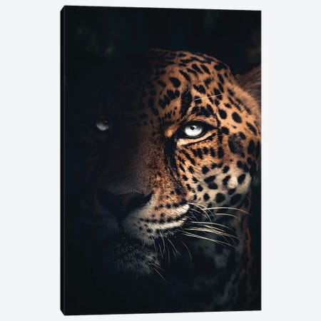 The Jaguar Canvas Print #ZGA105} by Zenja Gammer Art Print