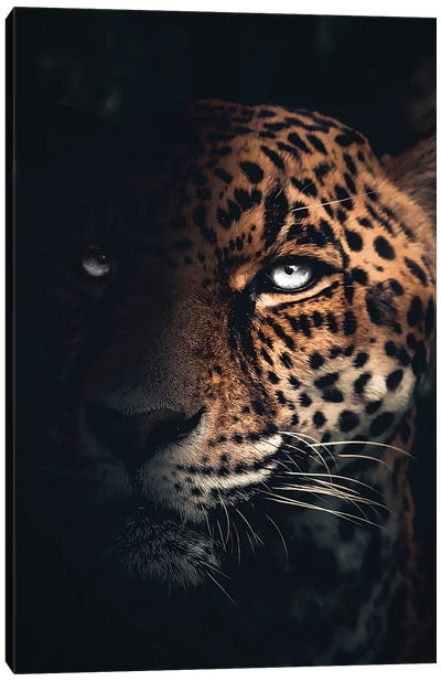 The Jaguar Canvas Art Print - Zenja Gammer